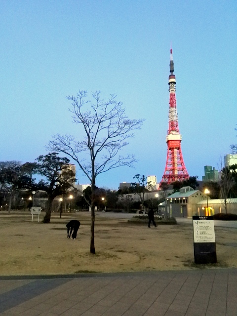 エクストリーム茶会　東京タワー